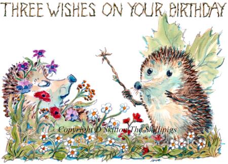691 THREE WISHES ON YOUR BIRTHDAY Skillipig 6 by 4 inch card with envelope.