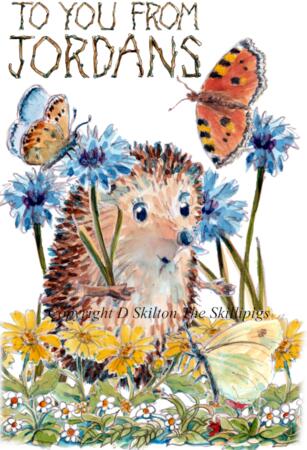 TO YOU FROM JORDANS Buckinghamshire , flowers and butterflies greeting card