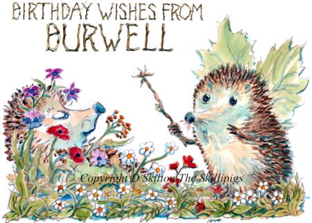 BIRTHDAY WISHES FROM BURWELL Skillipig Greeting card 