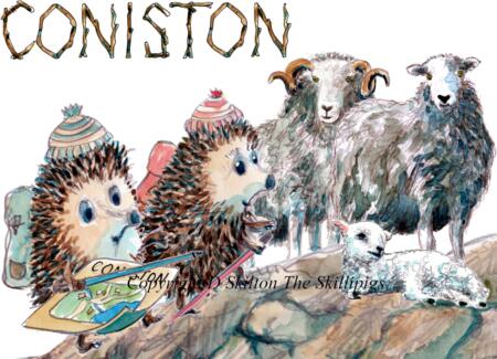 CONISTON lake district herdwick sheep and Skillipig walkers. Skillipig Greeting card.