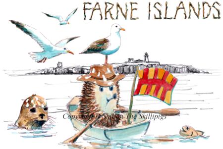 FARNE ISLANDS  skillipigs with hats 