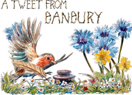 A TWEET FROM BANBURY robin. Skillipig greeting card