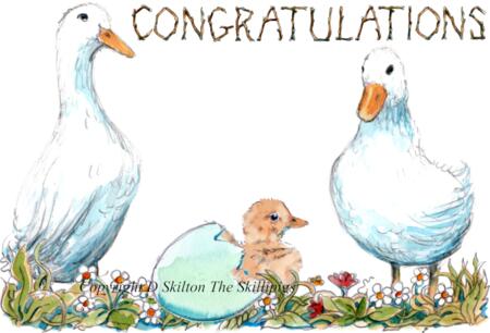 1279 congratulations ducks Skillipig greeting card 6 by 4 inch with brown envelope