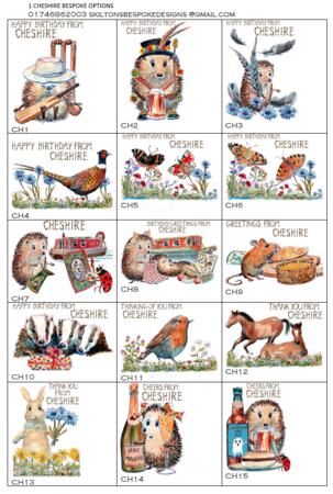1 CHESHIRE COUNTY OPTIONS page with 6 by 4 inch Skillipig greeting cards. Payment is for one card, please message the code needed.