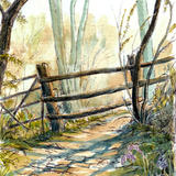 Bluebells and Morning Sun as a greeting card. Prints  and postcards available.