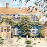 Example of a commission from photographs emailed to me