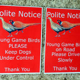 Posters using artwork, laminated, for shoots your information