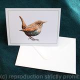 Wren notelet approx 6 by 4 inches ( you can have these personalised with your name and address on the back when you purchase 10 or more)