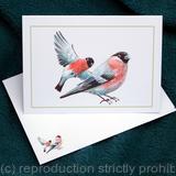 Bullfinches, one standing one flying as a notelet with matching image on the envelope. Sold as a single plain inside,card and envelope but we can print names and address for you on the back.
