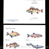 I went fishing with Granddad card. Example of a bespoke  fishing record card Fish can be changed inside. Wording can also be changed to suit you . prices depend on changes, starting from £2.70 + postage. contact for details.