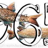1965 Barbel and Pike. Any year and any fish can be produced for you as a greeting card or party invitation card. Contact for details. Even exact date can be done for small extra cost.