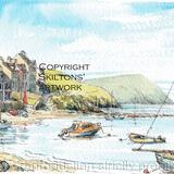 41 NEWPORT  Parrog beach near Newport Pembrokeshire as a greeting card. Prints and postcards available.