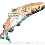 Salmon leaping watercolour 2 as a greeting card or fishing invitation perhaps. prints and postcards available.
