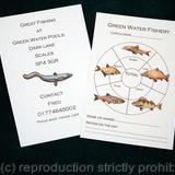 Bespoke fishing record card example. This could be given out to beginners at a fishing venue with Cafe etc. Any fish paintings available. We work with you to design what your business needs ( No set up fee)