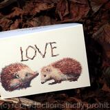  1 two hedgehogs with LOVE as a card blank inside. First in the Skillipigs collection of collectible cards.