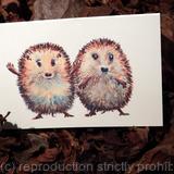 2 Skillipigs collection. Two young hedghogs as a blank inside card, second in the skillipigs collection