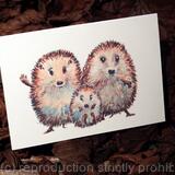 3 skillipigs collection. Two hedgehogs with one baby. Blank inside greeting card, third in the collection. This card can have family names printed below the image for a small cost.