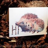  4  HI hedgehog or Skillipigs collection. 6 by 4 inch greeting card with brown recycled envelope.
