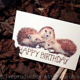 5 skillipigs collection. Birthday card blank inside, fifth in the skillipigs collection. HAPPY BIRTHDAY is in stick writing which only skillipigs can do!!