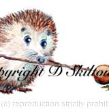 skillipig snooker player. Collection of fun hedgehog pictures as greeting cards . Cards come with recycled brown envelope.