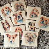 A collection of 10 of the 6 by 6 cards with recycled brown envelope. Some of some of the breeds ( you can choose breeds and numbers ) I have painted in pencil pen and watercolour. Signed prints within a 7 by 9 inch mount also available.
