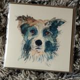 Border collie card, one of my Pawtrait collection. 6 by 6 inch card with recycled brown envelope. Signed prints available within 7 by 9 inch mount, please ask.