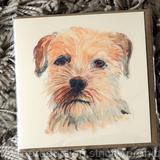 Border terrier card 6 by 6 inches with brown recycled envelope. Prints available on request.
