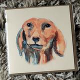 Dachshund portrait 6 by 6 inch card with recycled envelope. Signed prints available in 7 by 9 inch mount.