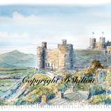 Harlech Castle pencil pen and watercolour signed print. Mounted in a 7 by 9 standard mount. Cards available.