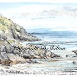 Parrog, The coastal path. Newport Pembrokeshire. Laser print, mounted and signed in a 7 by 9 inch mount to fit a standard frame. cards available.