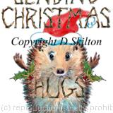 323 Sending Christmas Hugs. Skillipig Christmas card 6 by 4 inches with brown recycled envelope.