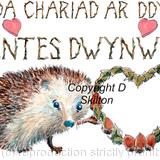 362 GYDA CHARIAD AR DDYDD SANTES DWYNWEN skillipigs card with heart. Greeting card with brown recycled envelope.