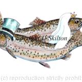 Brown trout Wedding pair Mr. and Mrs. as a 6 by 4 inch card. Possible wedding invitation etc. 