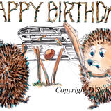 634 Cricket at lords HAPPY BIRTHDAY greeting card. 6 by 4 inch card with brown recycled envelope.