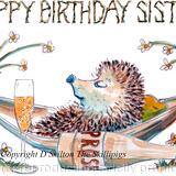 626 HAPPY BIRTHDAY SISTER Prosecco and hammock. Skillipigs greeting 6 by 4 inches greeting card with brown recycled envelope