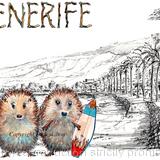 Tenerife Skillipigs greeting card.  6 by 4 inches with brown recycled envelope.
