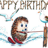 654 water Skier HAPPY BIRTHDAY. Skillipig 6 by 4 greeting card with brown recycled envelope 