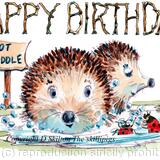 648 Hot puddle HAPPY BIRTHDAY Skillipigs Greeting card. 6 by 4 ivory card with brown recycled envelope.