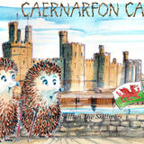 Caernarfon Castle with the Skillipigs 6 by 4 greeting card (Available as the castle only)