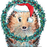 813 CHRISTMAS HUGS with holly wreath. Skillipigs card with brown recycled envelope. 