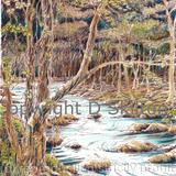 The River at Nant Col Nr. Harlech N. Wales as a signed laser print in a 7 by 9 inch mount. Cards available.