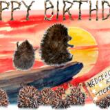 1119 Hedgehog King HAPPY BIRTHDAY card 6 by 4 inches with brown recycled envelope.