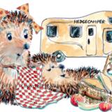 1149 Skillipigs greeting Camper van and picnic. NO Greeting 6 by 4 inch card with envelope.