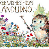 Three wishes from LLANDUDNO fairy Skillipig card. 6 by 4 greeting card. 
