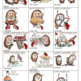 3 FATHER'S DAY CATALOGUE the Skillipigs 6 by 4 inch cards with envelope. 