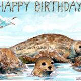 208SF seals HAPPY BIRTHDAY Skillipig Greeting card 6 by 4 inch card with brown recycled envelope.