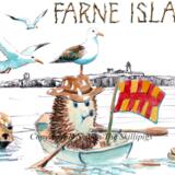 FARNE ISLANDS  skillipigs with hats 