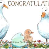 1279 congratulations ducks Skillipig greeting card 6 by 4 inch with brown envelope