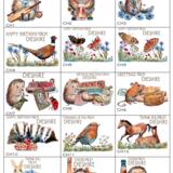 1 CHESHIRE COUNTY OPTIONS page with 6 by 4 inch Skillipig greeting cards. Payment is for one card, please message the code needed.