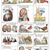 Herefordshire bespoke options page 1  Skillipig greetings cards designs, choose design pay by Pay Pal and let us know the code you want.